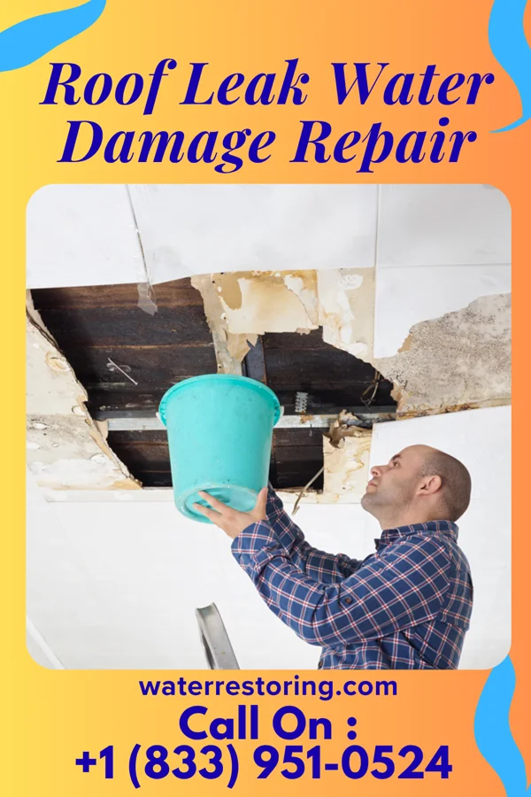 Roof Leak Water Damage Repair in Malden, WA